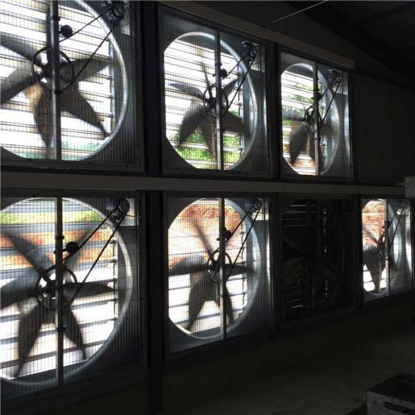 Cheap Greenhouse Poultry Shed Cooling System , Environment Control Axial Flow Fan for sale