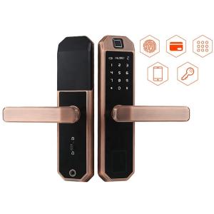 China Keyless Entry Smart Wifi Door Lock Keypad APP Control IC Card Wifi Connected Door Lock on sale