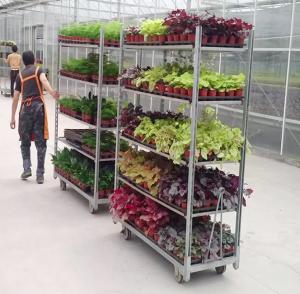 China Wire Mesh Shelf Dutch Flower Trolley Seedling Car Hot Galvanizing on sale