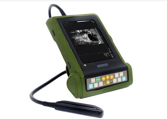 Cheap Mini Ultrasound Machine Veterinary Ultrasound Scanner With 6.5MHz Linear Rectal Probe OB Report Available for sale