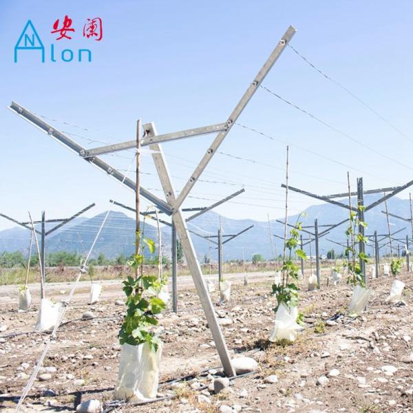 Cheap Q195 / Q235 Steel Open Gable Trellis System Custom Length In Pallet Packaged for sale