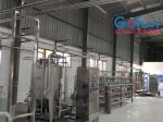 Juice And Puree Processing Machine For Pineapple Processing Line