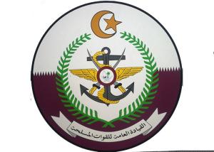 Round Shape Custom made Trophy , Raised Logo Metal Army Badge Coin