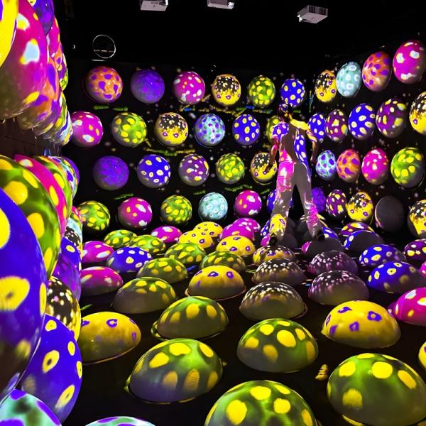 Indoor Interactive Jumping Sphere Floor Interactive Projection Game Cool Jump
