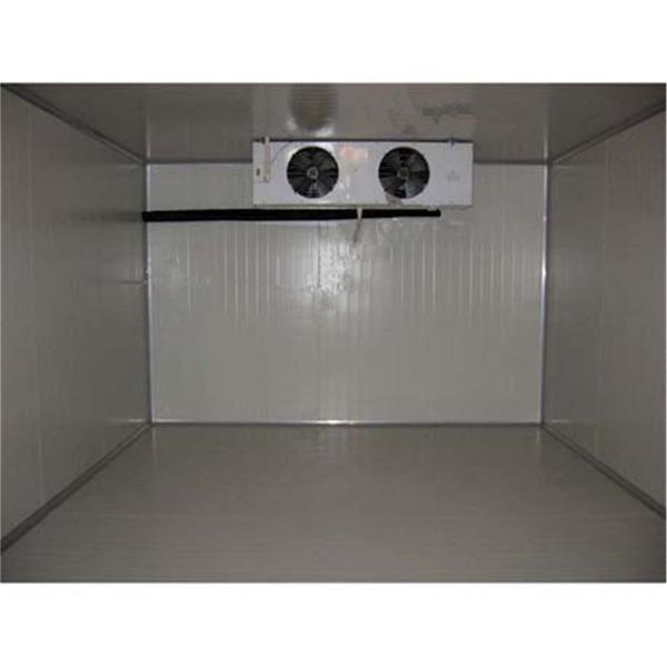Cheap Quick Freeze Walk In Cold Rooms Safety Fresh Keeping Small Freezer Room for sale