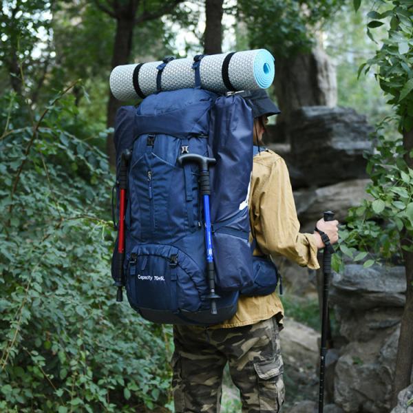 Cheap Internal Frame Featherweight Walking Knapsack With Reflective Printing for sale