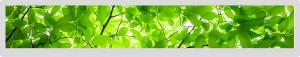 Best 36.6&quot; 1920x290 Bar Type LCD Ips Viewing Angle 51 Pin Display Lvds Interface wholesale