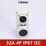 IP67 16A 3P Switched Socket With Mechanical Interlock IEC standard