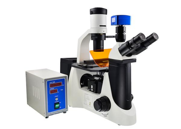 Cheap V/UV Filter Upright Microscope And Inverted Microscope Attachable Mechanical Stage for sale