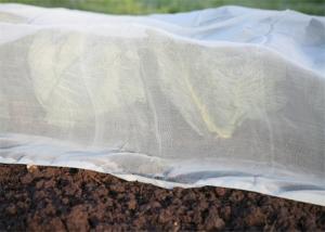 Best HDPE Insect Proof Garden Netting / Anti Hail Net ISO Certification wholesale