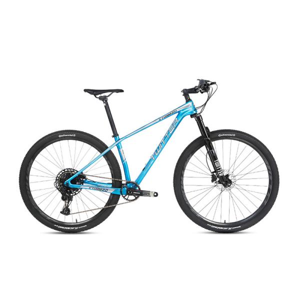 Cheap Carbon T800 Mountain Bike With Sram SX 12speed Transmission Mtb For Men for sale