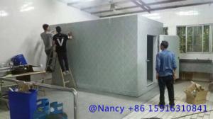Best low-temperature cold store，the temperature is between-22℃ and -25 ℃,keep the product from spoiling. wholesale