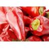 HALAL Whole Red Bullet Chilli Round 12% Moisture Anhydrous HACCP for sale