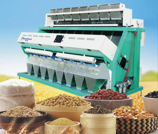 Cheap lentil colour sorting machine, lentil colour sorter, lential processing machine for sale