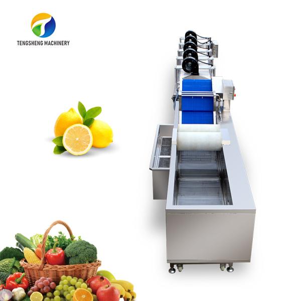 Cheap Customized Driven Pesticide Exclude Vegetable Processing Line , Centrifuging Tomato Processing Line for sale