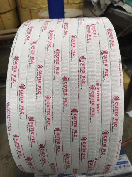 Cheap Single Screw PP Strap Band Extrusion Line PP Strap Making Machine PP Strap Making Machine with 1 to 4 Extruded Belts for sale