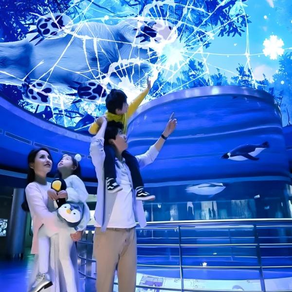 Cheap Customizable Magic Sky Screen Hologram Canopy Projection Interactive Projector for sale