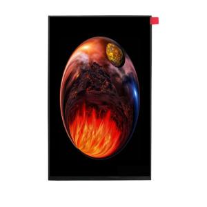 Best 800x1280 Resolution TFT LCD Display 10.1 Inch IPS Free Viewing Direction wholesale