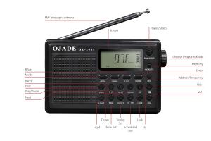 Easily Connect Your Phone or Other Devices to This Portable AM FM Radio Receiver with Bluetooth and Telescopic Antenna