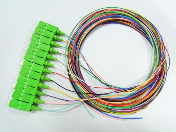 Cheap 12 Core Fiber Optik Pigtail SC/LC/ST/FC 12 Strand 0.9mm Tight Buffered Durable for sale