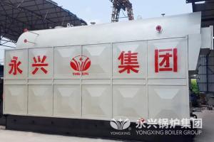 China Wood Fired Steam Boiler DZL Type Chain Grate Stoker on sale