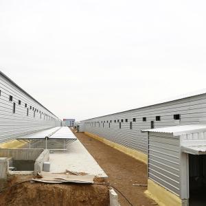 Multi Storey Prefab Steel Structure Building Chicken House