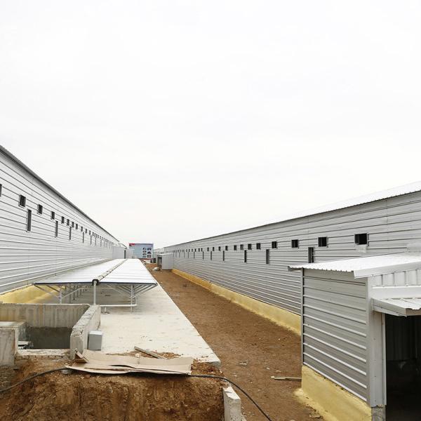 Cheap Multi Storey Prefab Steel Structure Building Chicken House for sale