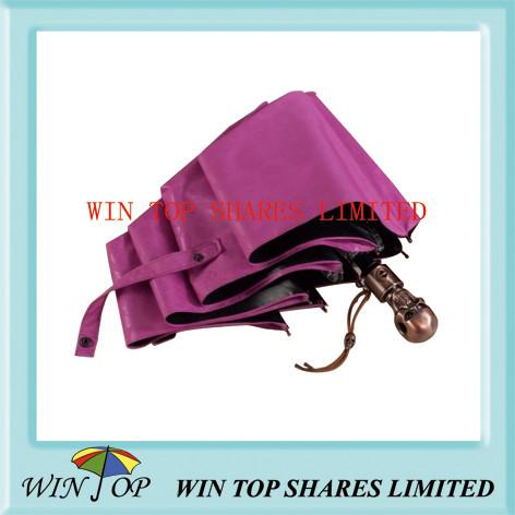 Cheap Auto Open and Close Skeleton Umbrella for sale