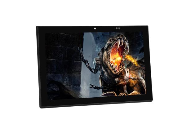 Cheap 10 Inch Android Tablet With RFID RJ45 Digital Output USB DC Camera for sale